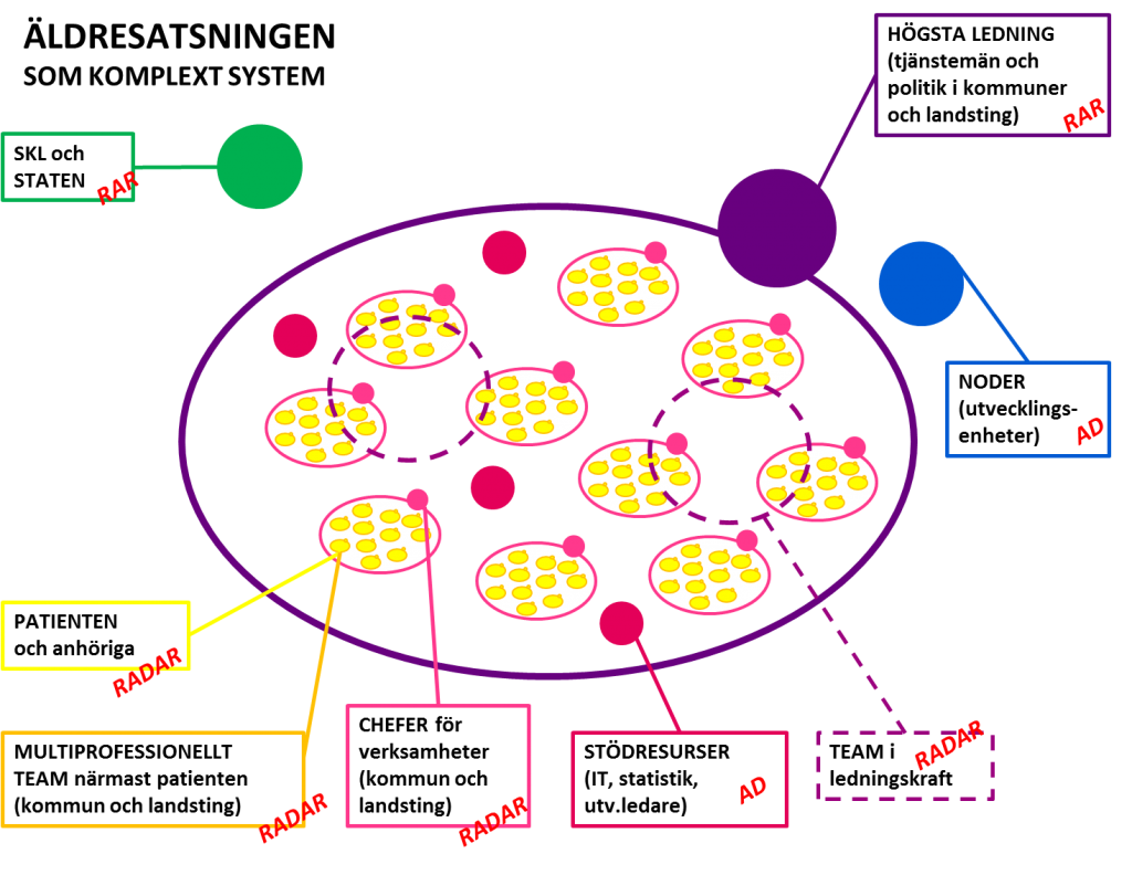 aldresatsningen-som-komplext-system